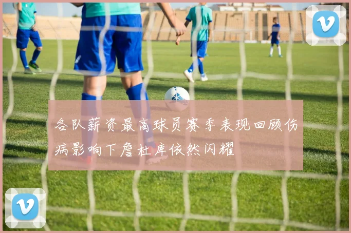 各队薪资最高球员赛季表现回顾伤病影响下詹杜库依然闪耀
